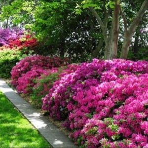 Meet your Posher, Ddonna